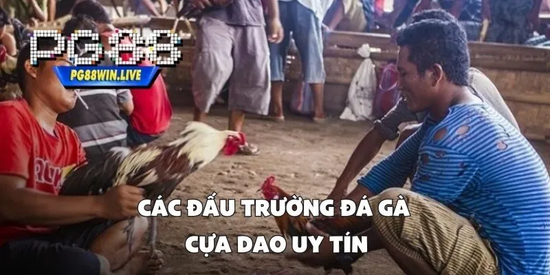 Các Đấu Trường Đá Gà Cựa Dao Uy Tín